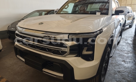 Sayi Imported DongFeng Rich White Mota in Ouagadougou a Burkina Faso