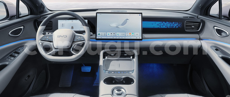 Big with watermark byd seal burkina faso hounde 11354