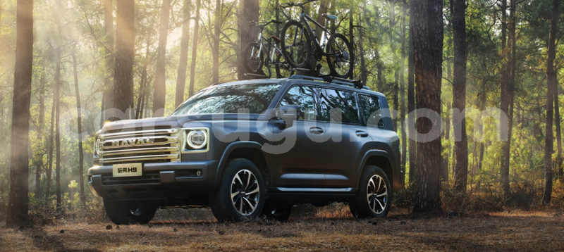 Big with watermark haval h9 oudalan gorom gorom 11359