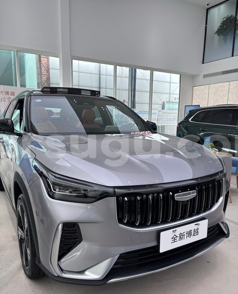 Big with watermark geely beauty leopard burkina faso ouagadougou 11380