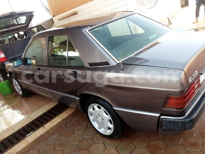 Big with watermark 46384960 10215822020417582 3570141128999043072 n