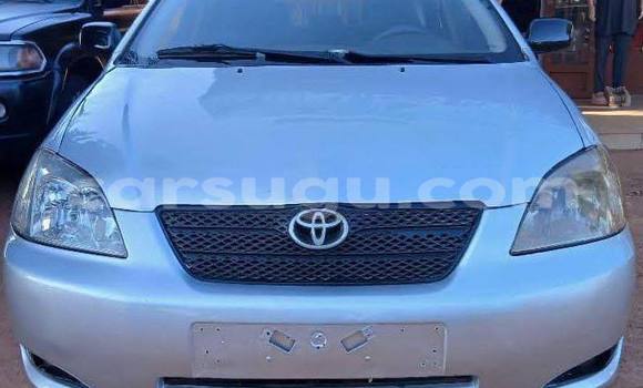 Acheter Occasion Voiture Toyota Corolla Gris à Ouagadougou, Burkina-Faso Acheter Occasion Voiture Toyota Corolla Gris à Ouagadougou, Burkina-Faso