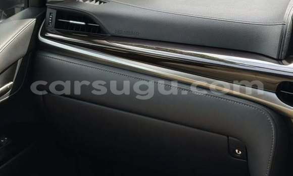 Buy Used Lexus LX 570 White Car in Ouagadougou in Burkina Faso Buy Used Lexus LX 570 White Car in Ouagadougou in Burkina Faso