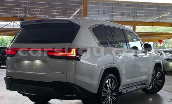 Buy Used Lexus LX White Car in Ouagadougou in Burkina Faso Buy Used Lexus LX White Car in Ouagadougou in Burkina Faso