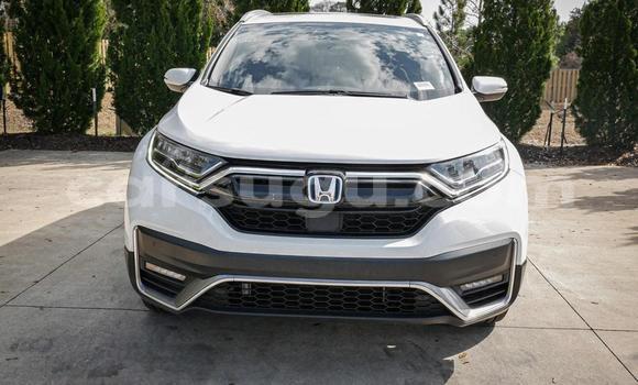 Buy Used Honda CR–V White Car in Ouagadougou in Burkina Faso Buy Used Honda CR–V White Car in Ouagadougou in Burkina Faso