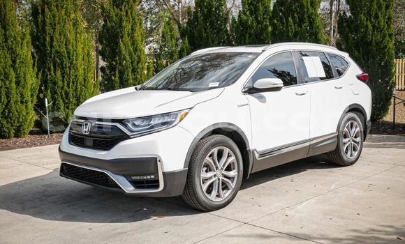 Buy Used Honda CR–V White Car in Ouagadougou in Burkina Faso Buy Used Honda CR–V White Car in Ouagadougou in Burkina Faso