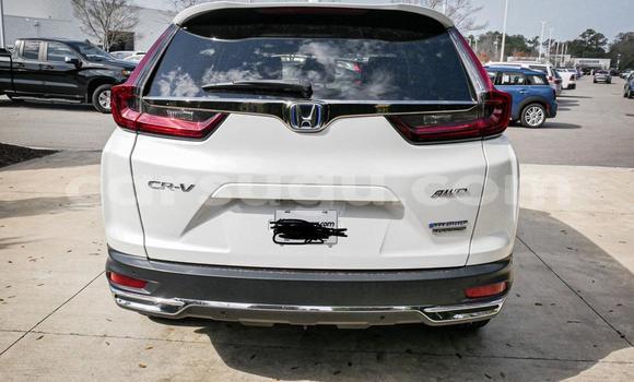 Buy Used Honda CR–V White Car in Ouagadougou in Burkina Faso Buy Used Honda CR–V White Car in Ouagadougou in Burkina Faso