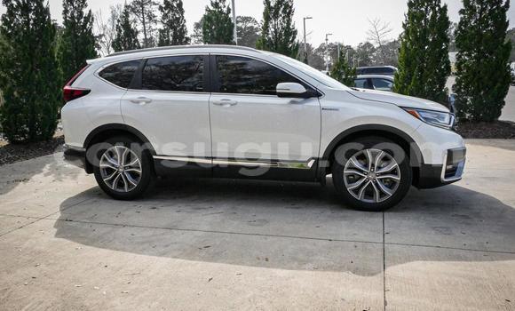 Buy Used Honda CR–V White Car in Ouagadougou in Burkina Faso Buy Used Honda CR–V White Car in Ouagadougou in Burkina Faso