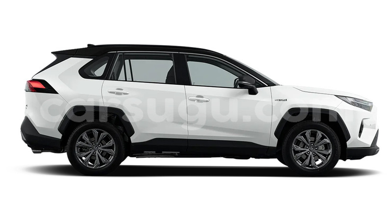 Big with watermark toyota rav4 kenedougou orodara 11629