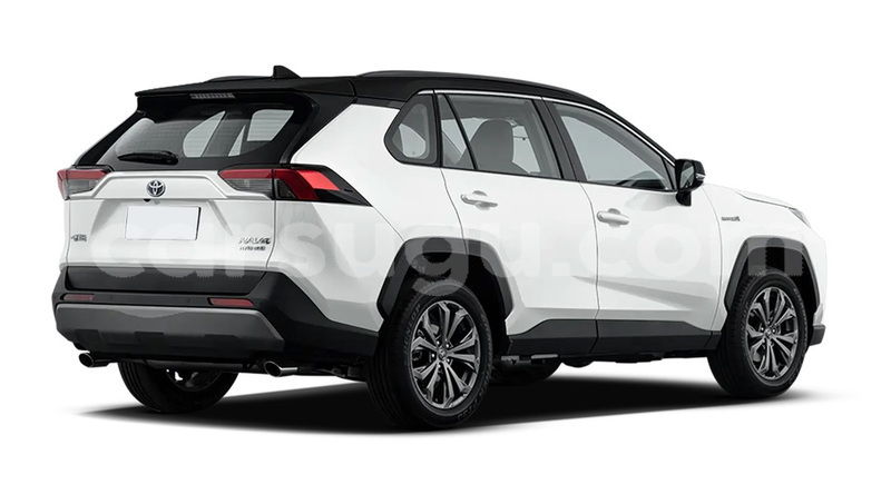 Big with watermark toyota rav4 kenedougou orodara 11629