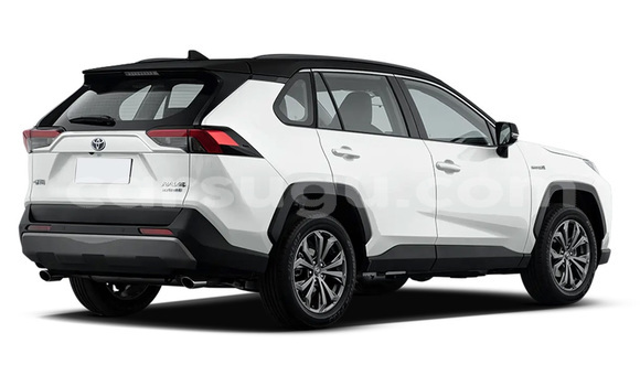 Sayi Sabo Toyota RAV4 White Mota in Orodara a Kenedougou Sayi Sabo Toyota RAV4 White Mota in Orodara a Kenedougou