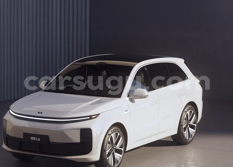 Big with watermark lifan x50 sourou tougan 11631