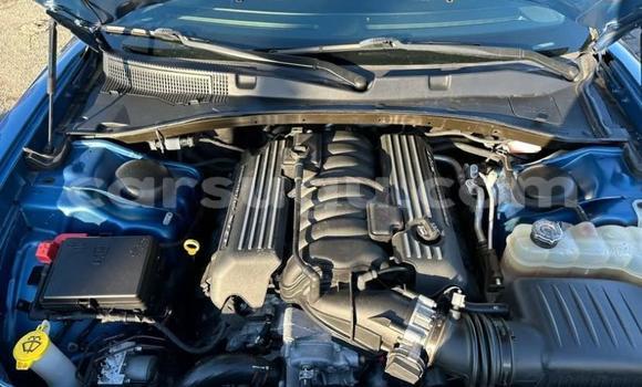 Buy Used Dodge Charger Blue Car in Ouagadougou in Burkina Faso Buy Used Dodge Charger Blue Car in Ouagadougou in Burkina Faso