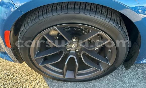 Buy Used Dodge Charger Blue Car in Ouagadougou in Burkina Faso Buy Used Dodge Charger Blue Car in Ouagadougou in Burkina Faso