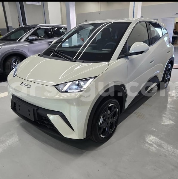 Big with watermark byd seagull burkina faso ouagadougou 11644