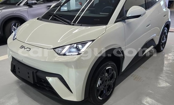 Acheter Occasion Voiture BYD Seagull Blanc à Ouagadougou, Burkina-Faso