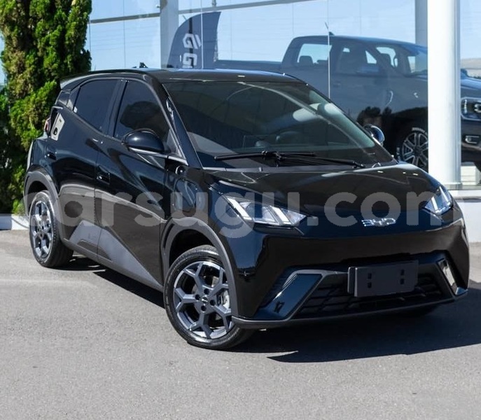 Big with watermark byd seagull burkina faso ouagadougou 11644