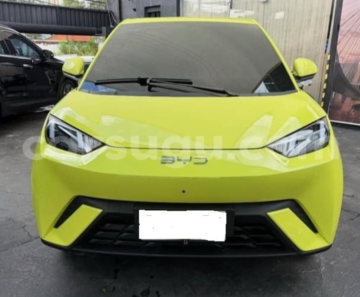 Big with watermark byd seagull burkina faso ouagadougou 11644