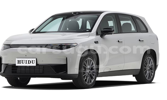 Acheter Neuf Voiture Leapmotor C10 Blanc à Po, Nahouri