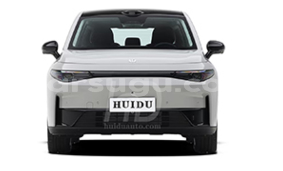 Acheter Neuf Voiture Leapmotor C10 Blanc à Po, Nahouri Acheter Neuf Voiture Leapmotor C10 Blanc à Po, Nahouri