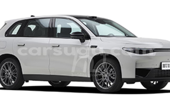 Acheter Neuf Voiture Leapmotor C10 Blanc à Po, Nahouri Acheter Neuf Voiture Leapmotor C10 Blanc à Po, Nahouri