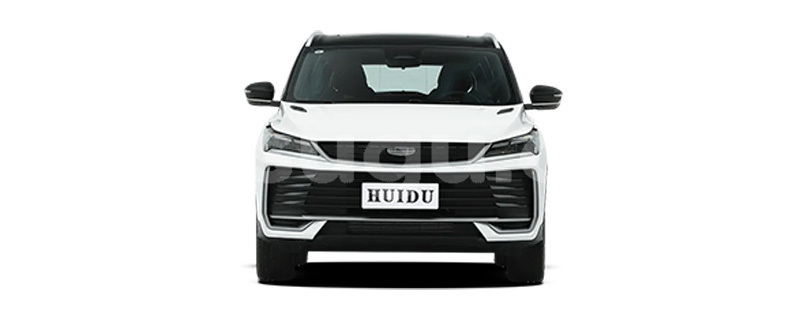 Big with watermark geely beauty leopard kompienga pama 11705