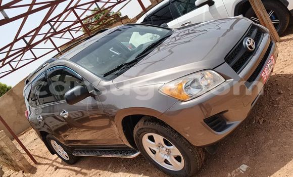 Acheter Occasion Voiture Toyota RAV4 Gris à Ouagadougou, Burkina-Faso Acheter Occasion Voiture Toyota RAV4 Gris à Ouagadougou, Burkina-Faso
