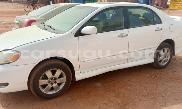 Acheter Occasion Voiture Toyota Corolla Blanc à Ouagadougou, Burkina-Faso Acheter Occasion Voiture Toyota Corolla Blanc à Ouagadougou, Burkina-Faso