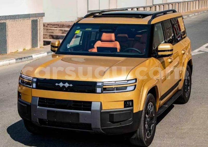 Big with watermark byd leopard 5 burkina faso ouagadougou 11747