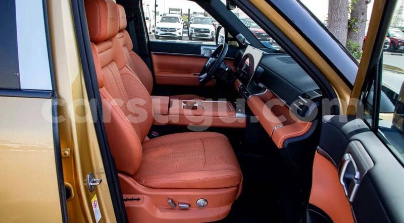 Big with watermark byd leopard 5 burkina faso ouagadougou 11747
