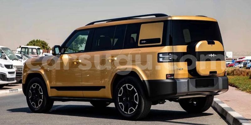Big with watermark byd leopard 5 burkina faso ouagadougou 11747