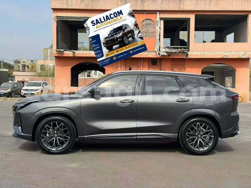 Big with watermark changan z shine burkina faso ouagadougou 11813