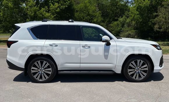 Buy Used Lexus LX White Car in Ouagadougou in Burkina Faso Buy Used Lexus LX White Car in Ouagadougou in Burkina Faso