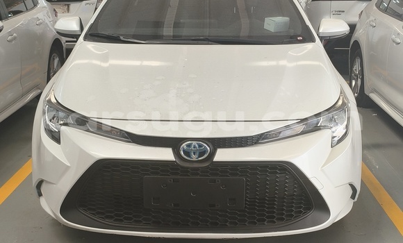 Acheter Occasion Voiture Toyota Corolla Blanc à Tougan, Sourou