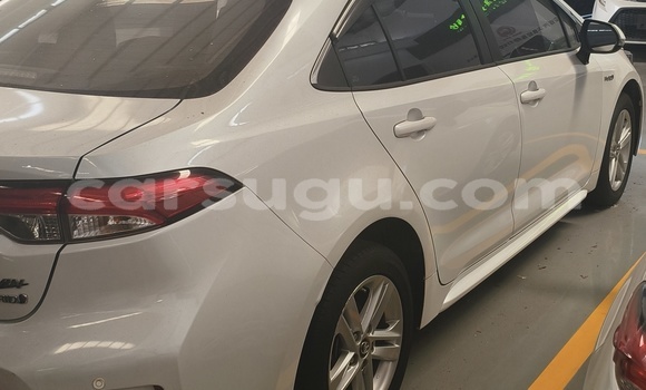 Buy Used Toyota Corolla White Car in Tougan in Sourou Buy Used Toyota Corolla White Car in Tougan in Sourou