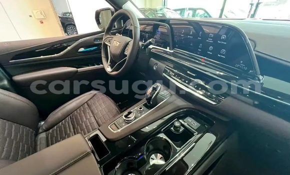 Buy New Cadillac Escalade Black Car in Ouagadougou in Burkina Faso Buy New Cadillac Escalade Black Car in Ouagadougou in Burkina Faso