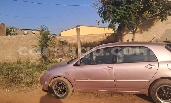 Buy Used Toyota Corolla Beige Car in Ouagadougou in Burkina Faso Buy Used Toyota Corolla Beige Car in Ouagadougou in Burkina Faso