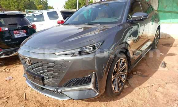 Acheter Occasion Voiture Changan Hunter Gris à Ouagadougou, Burkina-Faso Acheter Occasion Voiture Changan Hunter Gris à Ouagadougou, Burkina-Faso