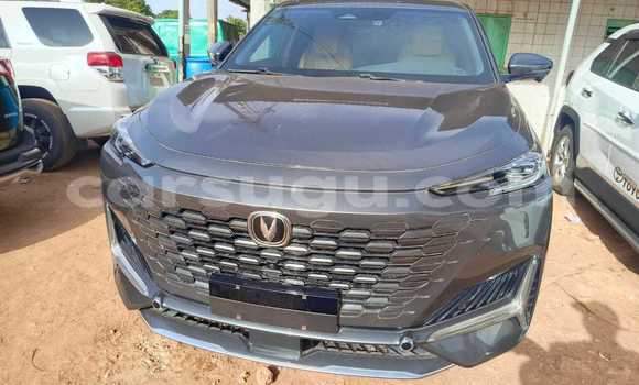 Acheter Occasion Voiture Changan Hunter Gris à Ouagadougou, Burkina-Faso Acheter Occasion Voiture Changan Hunter Gris à Ouagadougou, Burkina-Faso