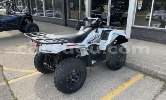 Buy New Kawasaki Brute Force White Bike in Dedougou in Mouhoun Buy New Kawasaki Brute Force White Bike in Dedougou in Mouhoun