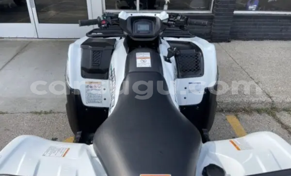 Buy New Kawasaki Brute Force White Bike in Dedougou in Mouhoun Buy New Kawasaki Brute Force White Bike in Dedougou in Mouhoun