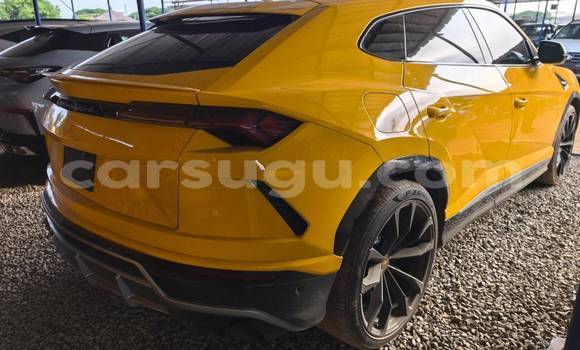 Buy New Lamborghini Urus Other Car in Leo in Sissili Buy New Lamborghini Urus Other Car in Leo in Sissili