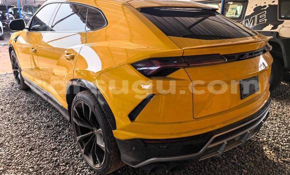 Buy New Lamborghini Urus Other Car in Leo in Sissili Buy New Lamborghini Urus Other Car in Leo in Sissili