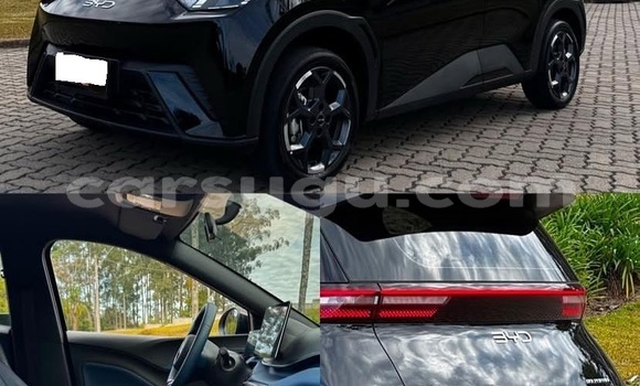Buy Used BYD Seagull Other Car in Ouagadougou in Burkina Faso Buy Used BYD Seagull Other Car in Ouagadougou in Burkina Faso