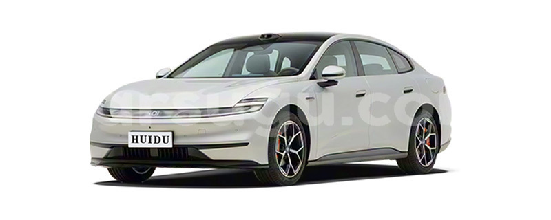 Big with watermark changan benni bougouriba pa 11928