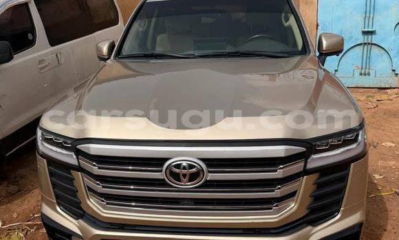Buy Used Toyota Land Cruiser Brown Car in Ouagadougou in Burkina Faso