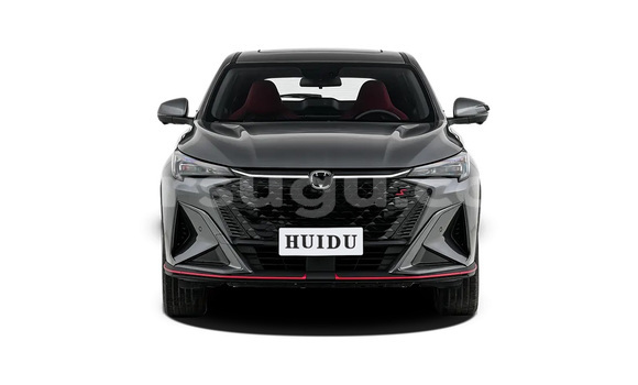 Sayi Sabo Changan Raeton Black Mota in Gourcy a Zondoma Sayi Sabo Changan Raeton Black Mota in Gourcy a Zondoma