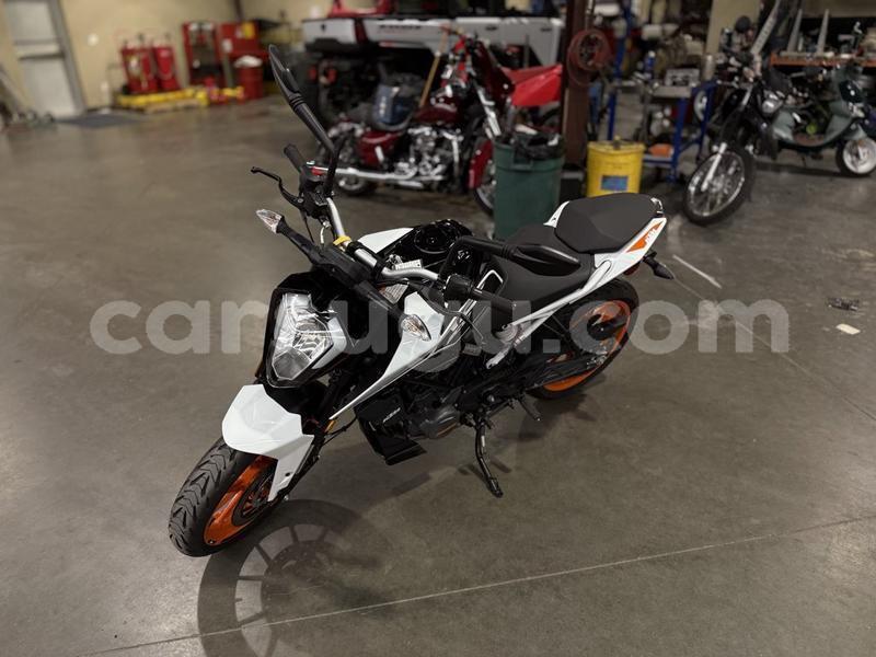 Big with watermark ktm duke burkina faso ouagadougou 11998