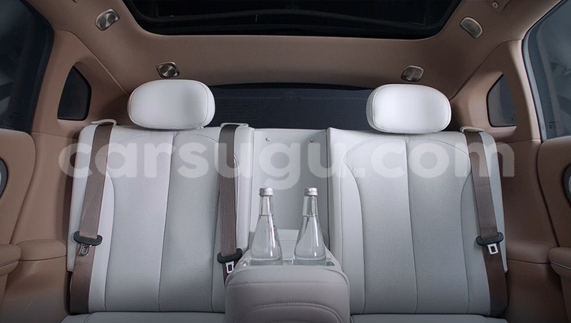 Big with watermark changan z shine poni loropeni 12001