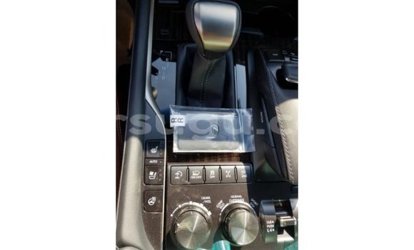 Sayi Imported Lexus LX Other Mota in Import - Dubai a Burkina Faso